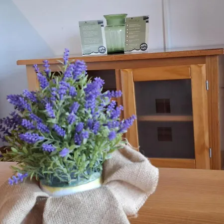 Lägenhet Stone, Wifi, Pet-friendly Y Garage - Arafita *