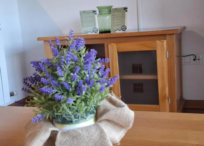 شقة Stone, Wifi, Pet-friendly Y Garage - Arafita *